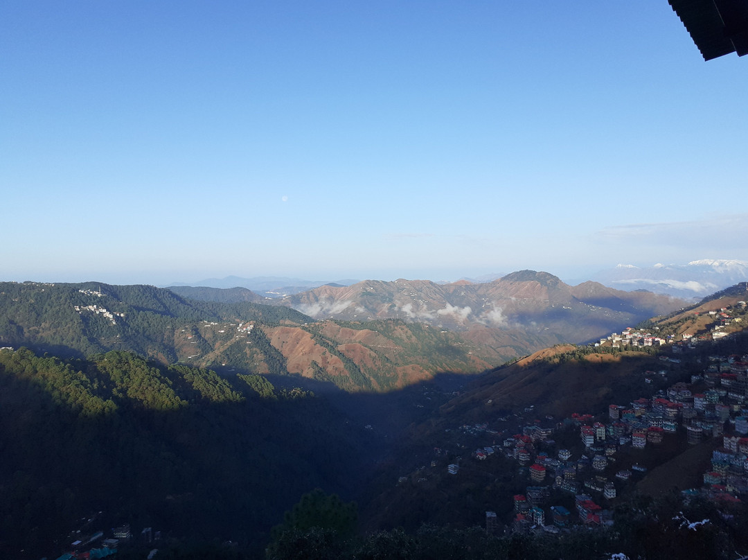 The Oaktree House主图