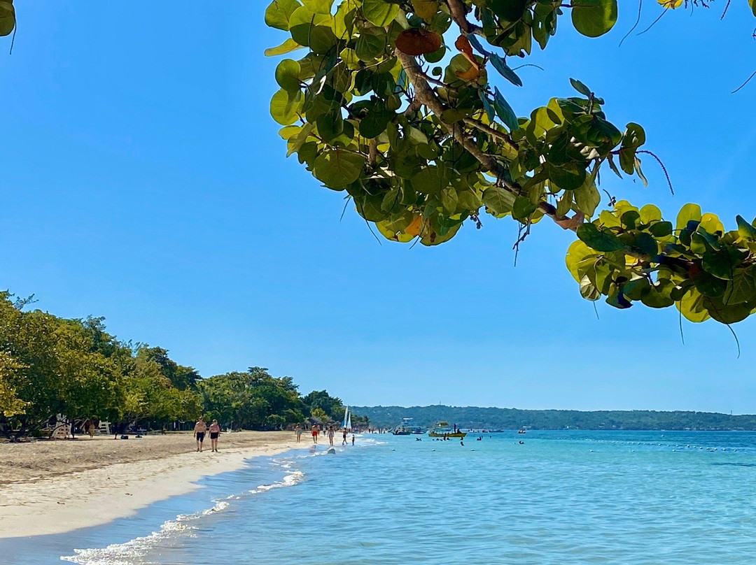 Long Bay Beach Park-内格里尔必去景点