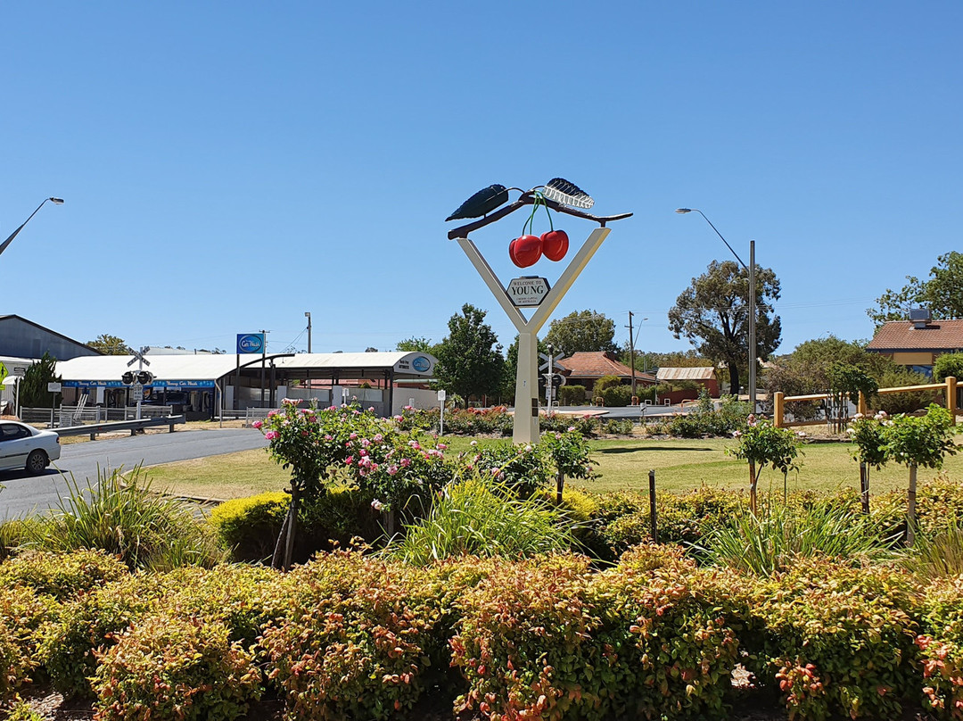 The Big Cherries-Young必去景点