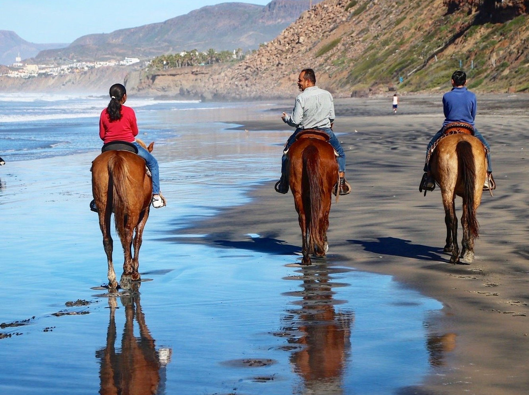 Horses by Jose-La Mision必去景点