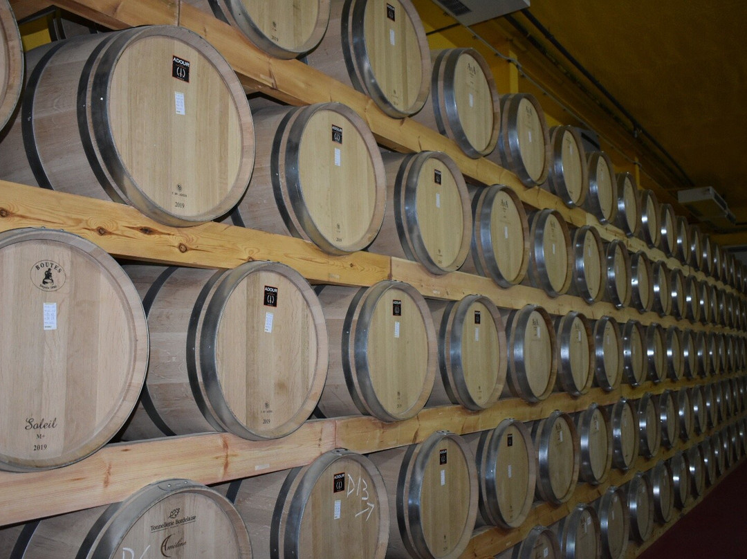 Bodega Tomas Postigo景点图片