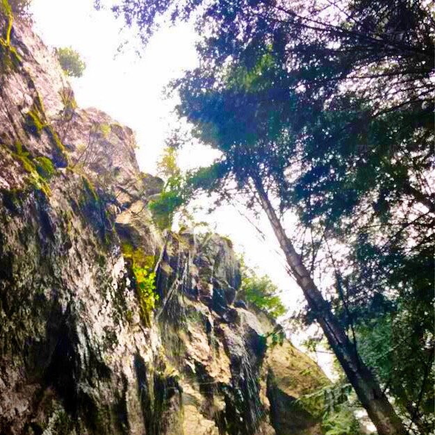 Stawamus Chief Park景点图片