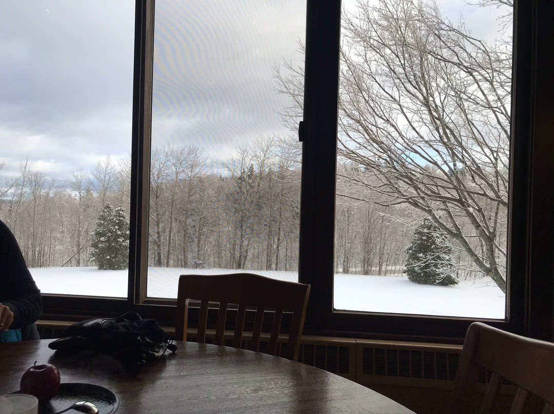 Black Bear Lodge主图