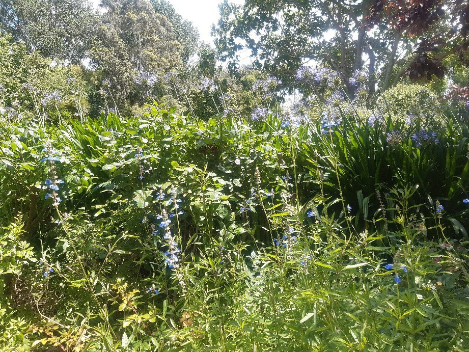 Coast Park Gardens景点图片