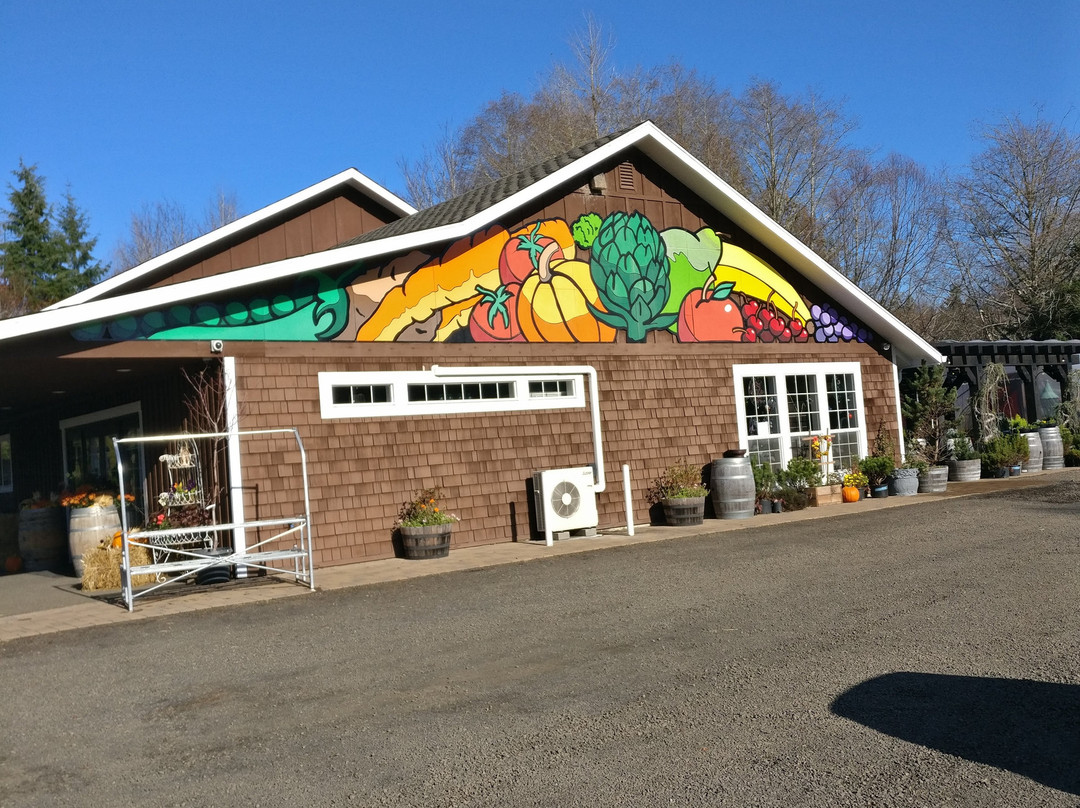 Bear Creek Artichokes-蒂拉穆克必去景点