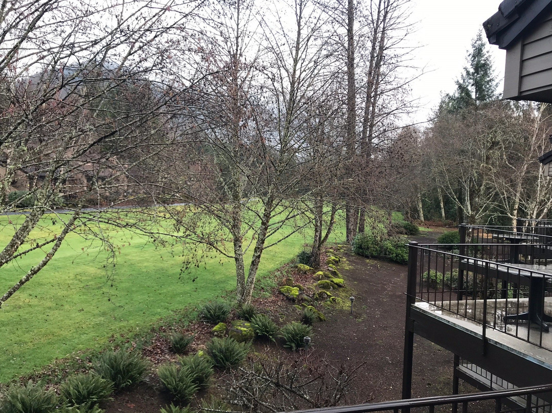 Whispering Woods Resort主图