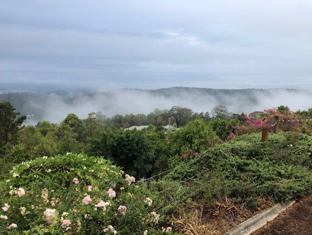 Highwood Park B&B Guest Lodge-酒店景观