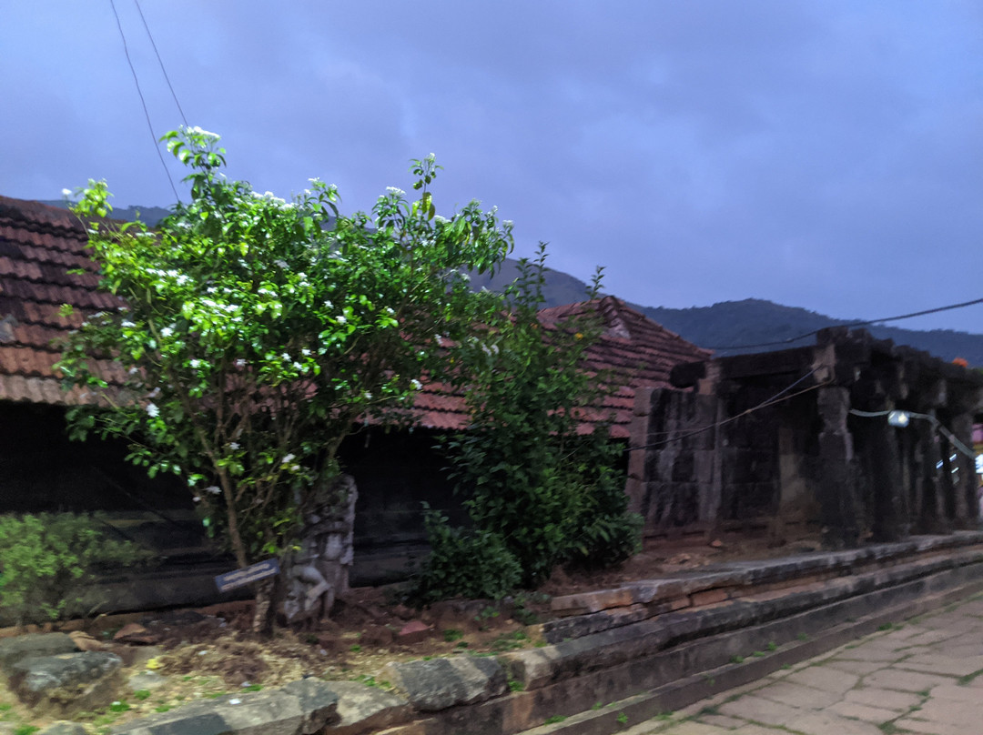 Sree Thirunelli Mahavishnu Temple景点图片