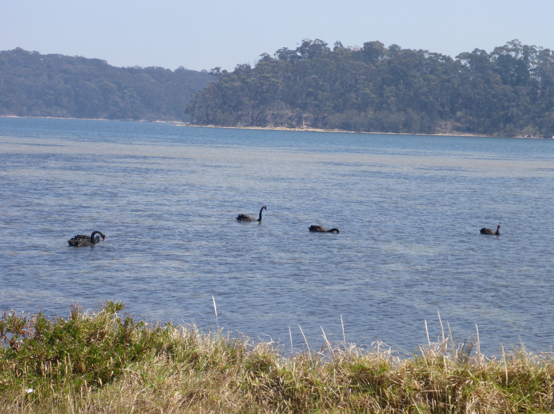 Batemans Marine Park景点图片
