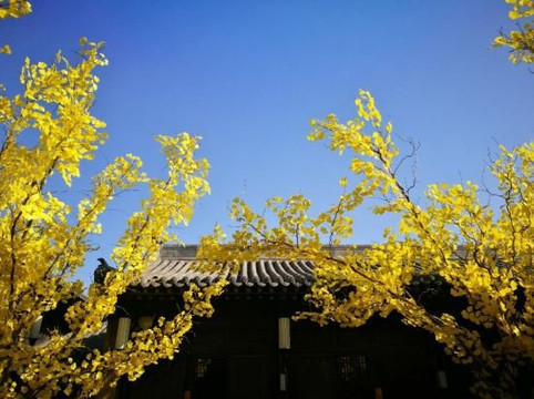 平遥在别处客栈（古城北门店）主图