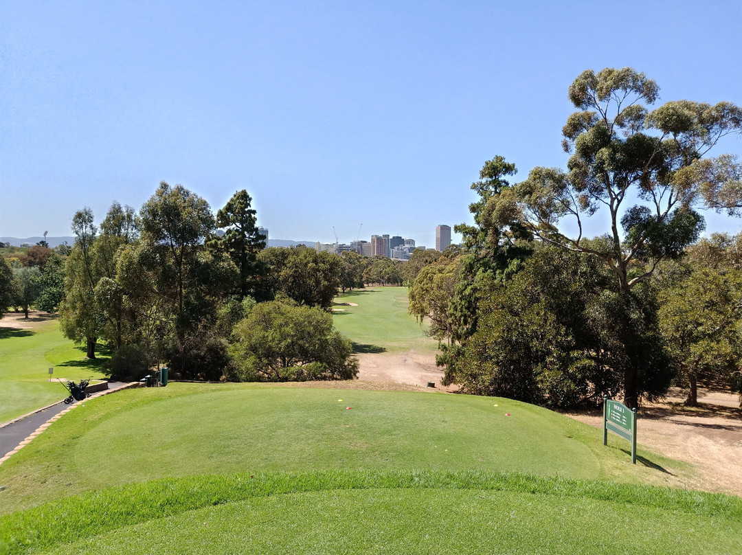 North Adelaide Golf Course景点图片