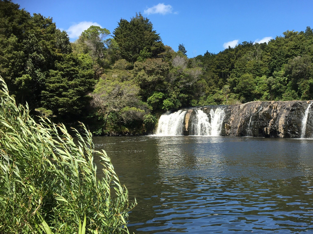 Kerikeri River Track景点图片