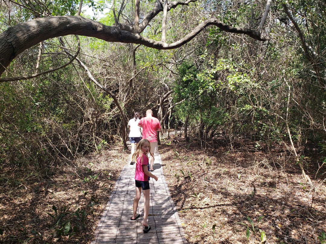 Andbeyond Benguerra Island主图