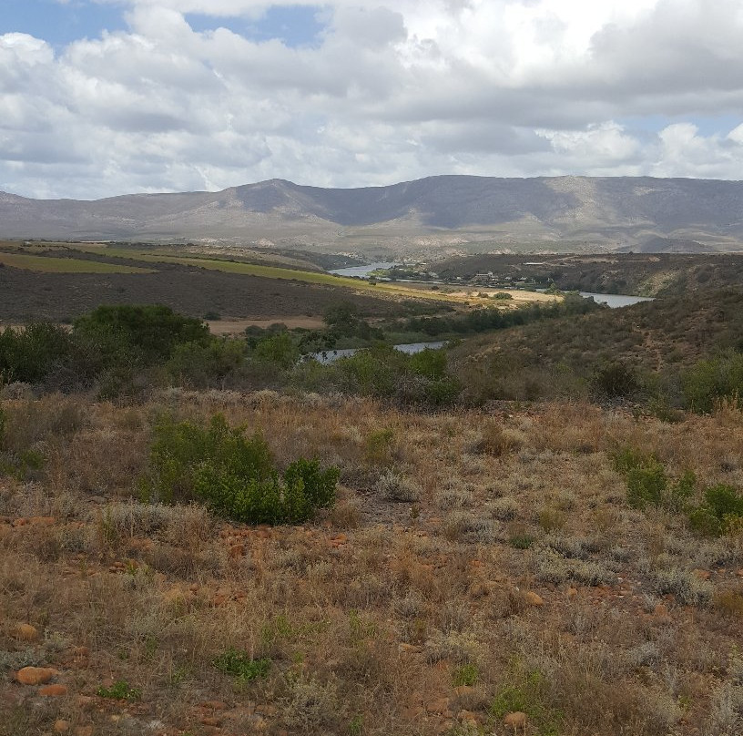 Sijnn Winery-Malagas必去景点