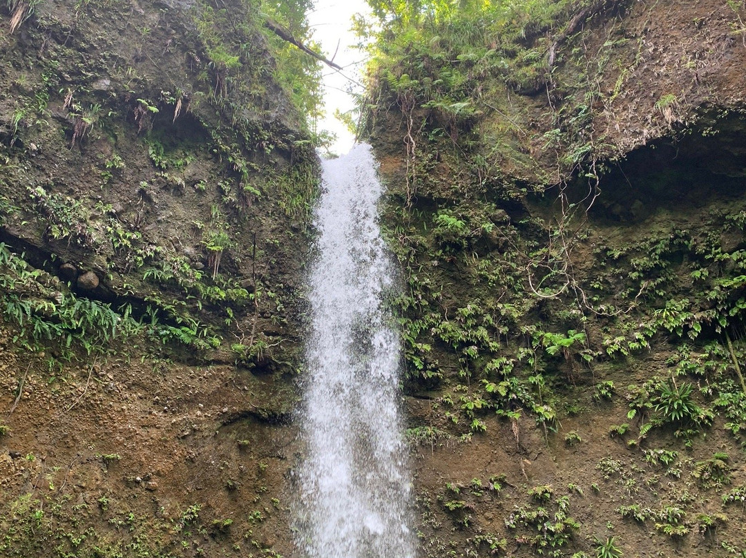 Spanny Falls-多米尼克必去景点
