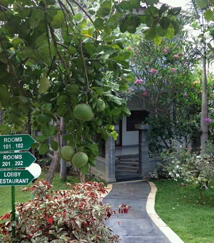 The Gecho Inn Country主图