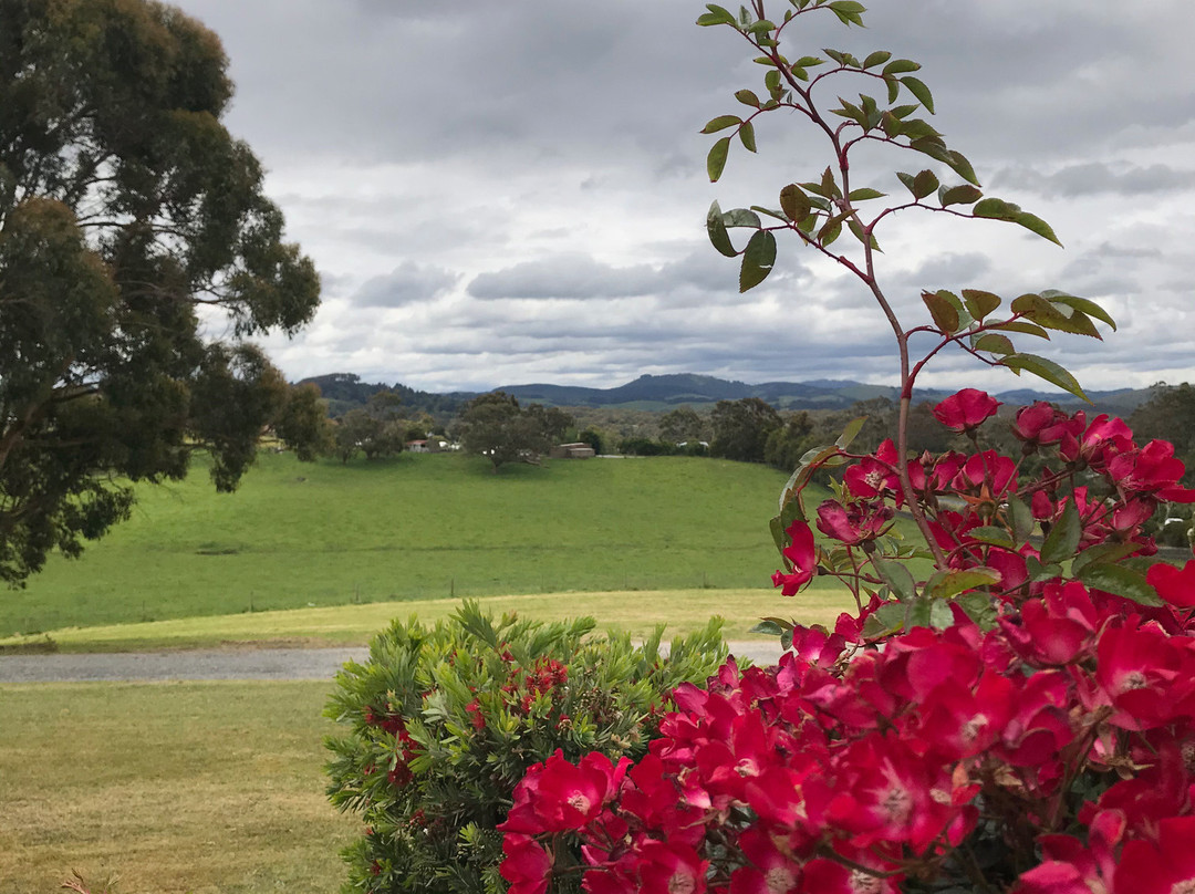 Foster Cemetery-福斯特必去景点