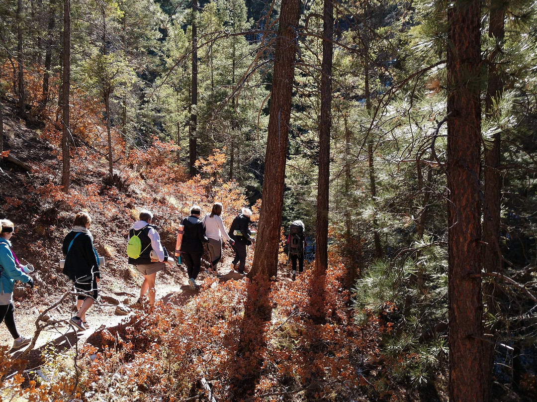 Yogihiker景点图片