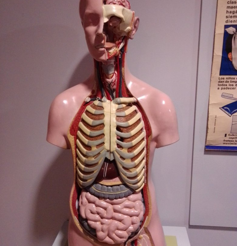 Museo Pedagógico de Aragón-韦斯卡省必去景点