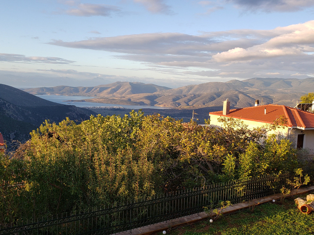 Hotel Apollonia主图