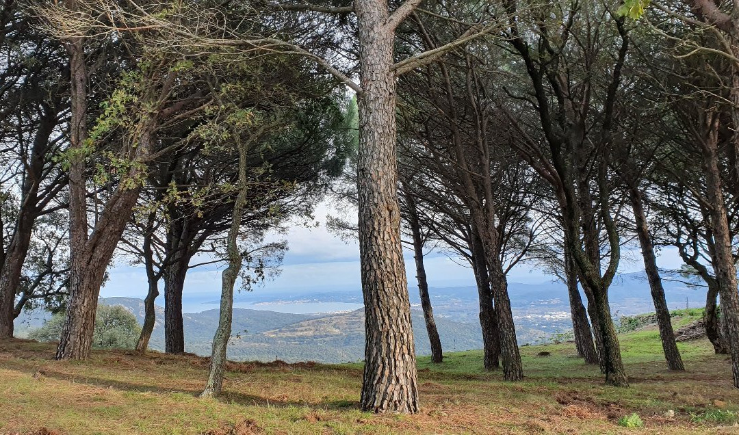 Chapelle Notre Dame de Miremer-La Garde-Freinet必去景点