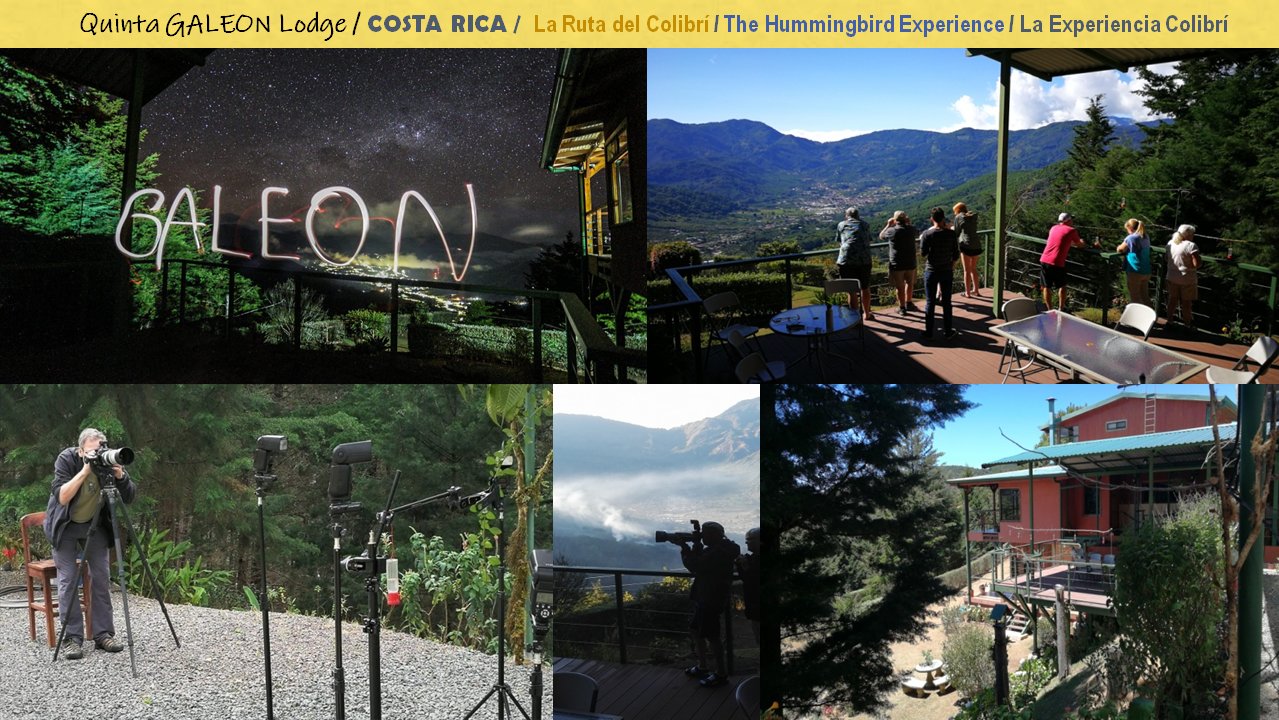 Quinta Galeon Lodge-官方