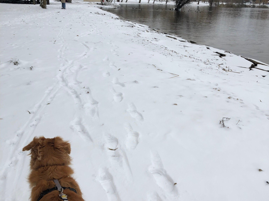 Kelso Beach Park景点图片