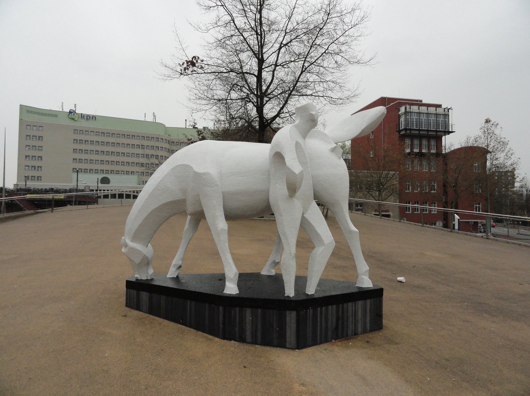 'Peerd van Ome Loeks'-格罗宁根省必去景点