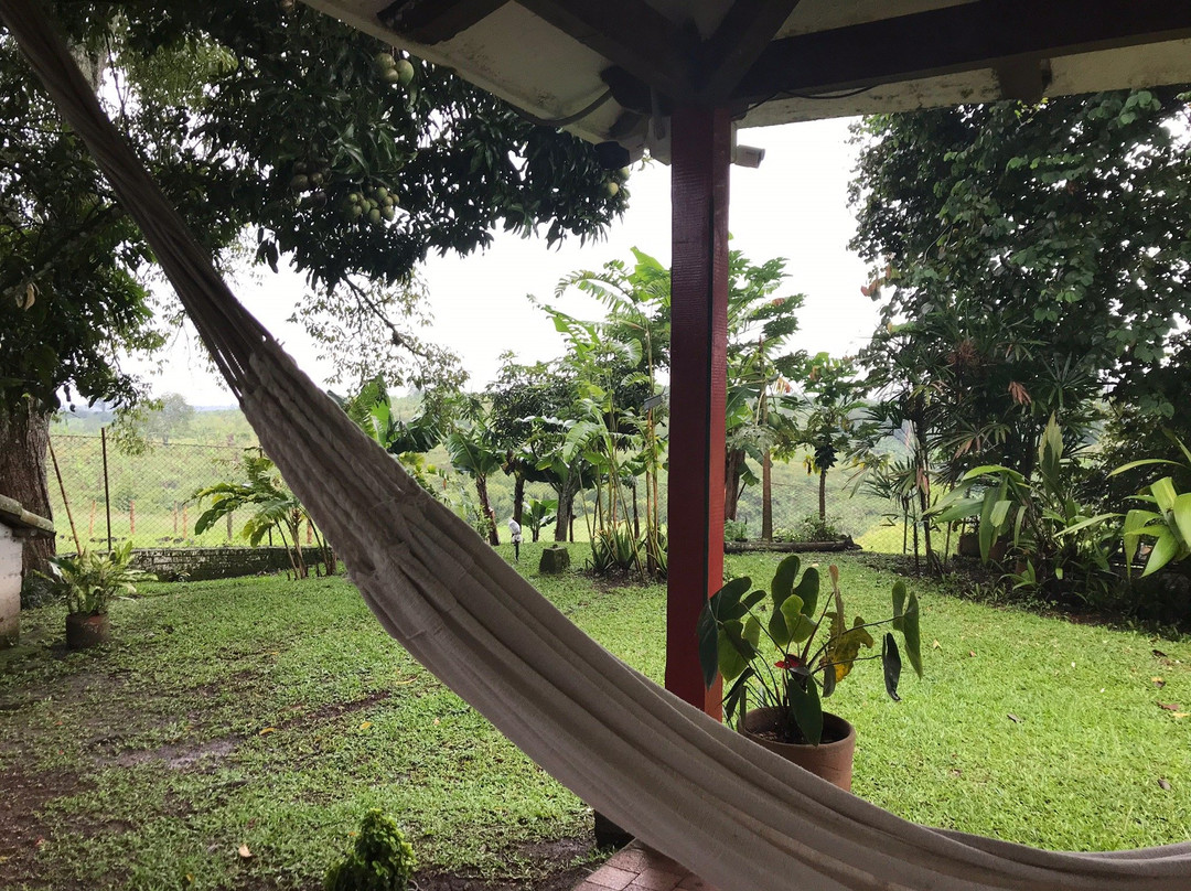 Finca Hotel El Rosario主图