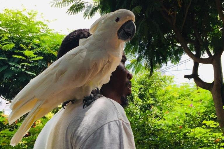 Senegal Tourist Guide-达喀尔必去景点