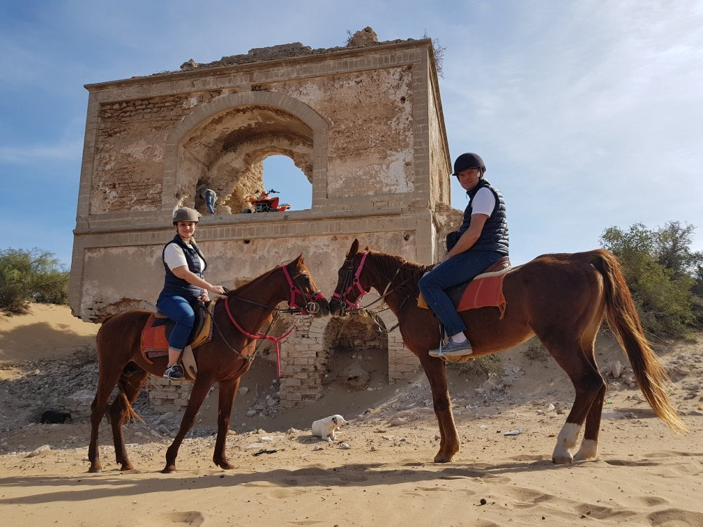 Cheval Essaouira景点图片