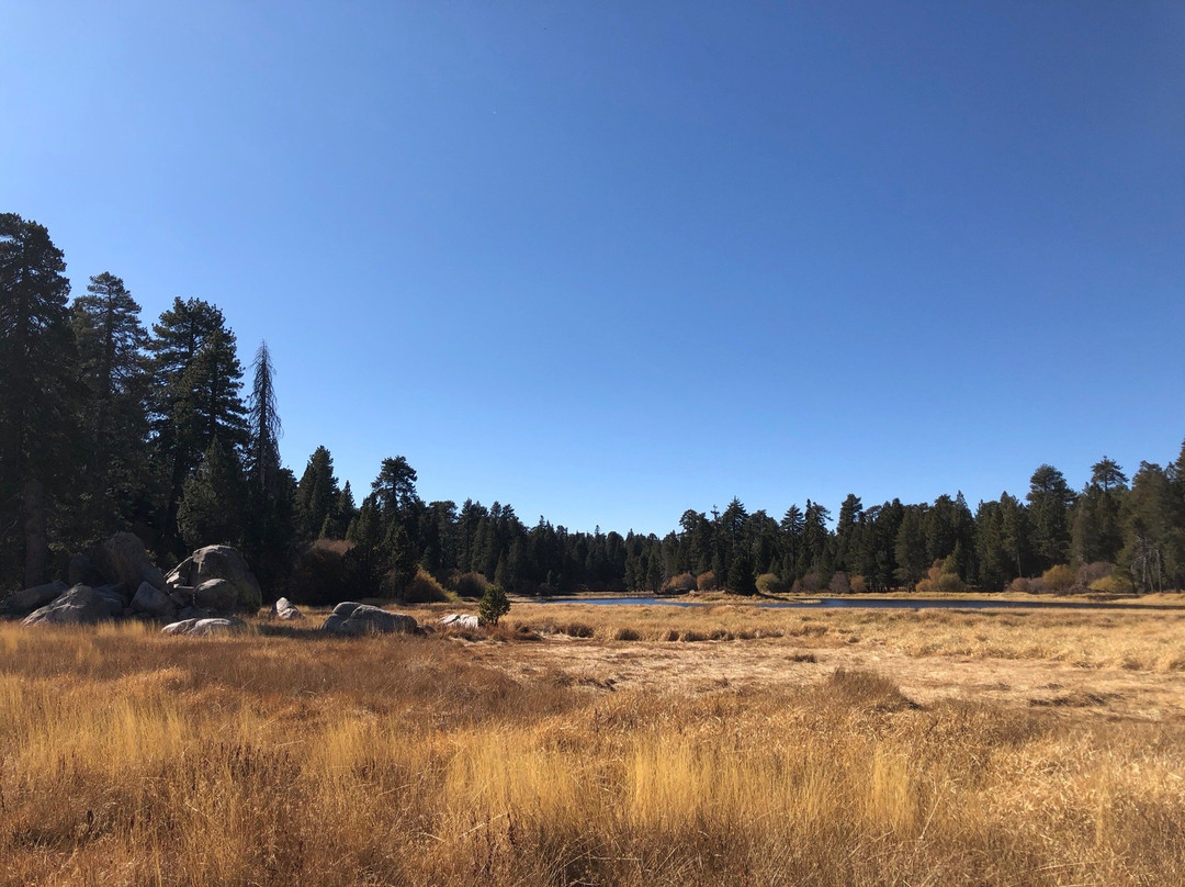 Bluff Lake Reserve-大熊湖必去景点