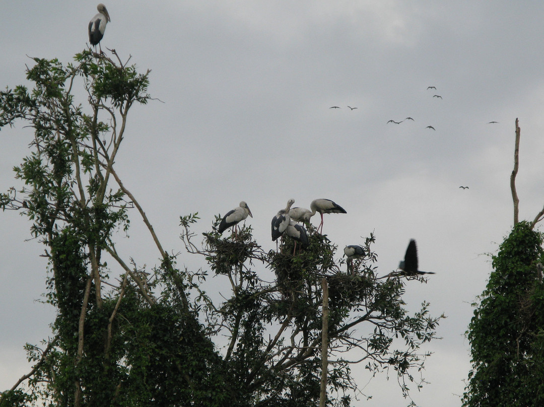 Gao Giong Eco-tourism Park-Cao Lanh必去景点