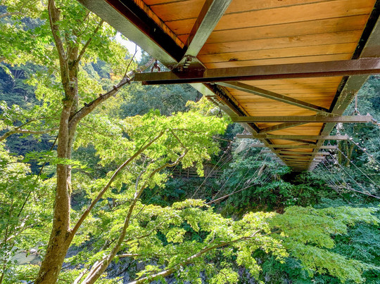 Hikawa Valley-奥多摩町必去景点