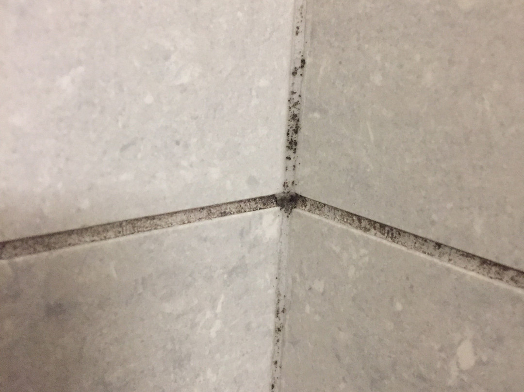 Quality Hotel Burlington主图