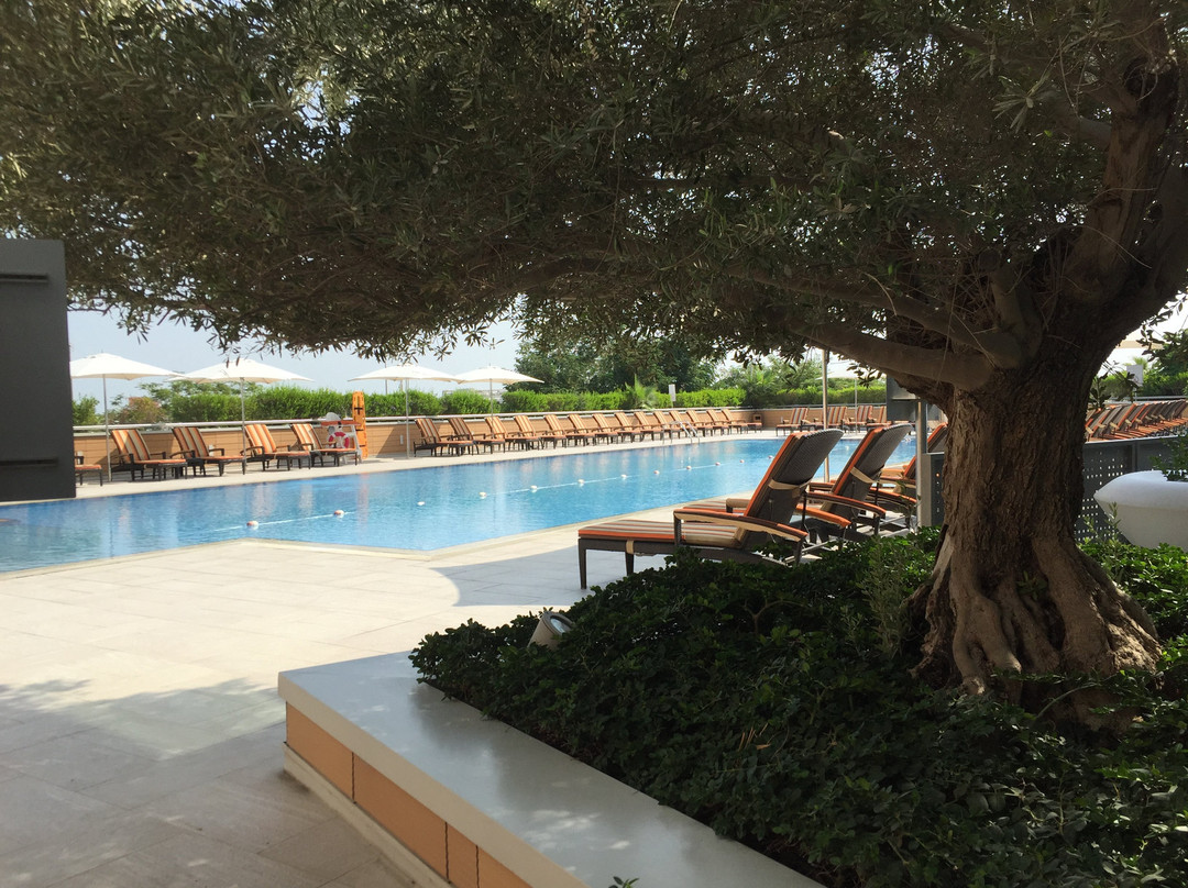 罗塔纳羚羊主图