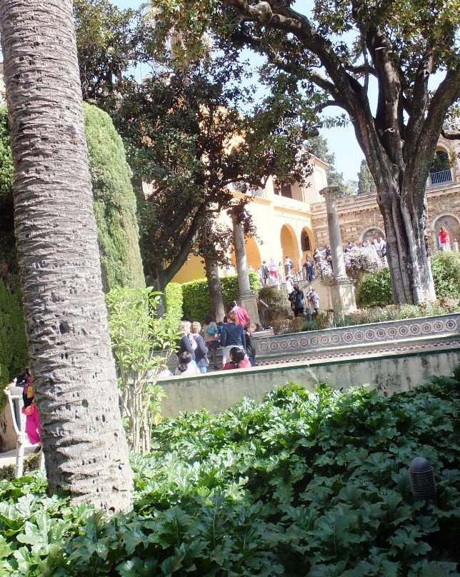Jardines de los Reales Alcazares-塞维利亚必去景点