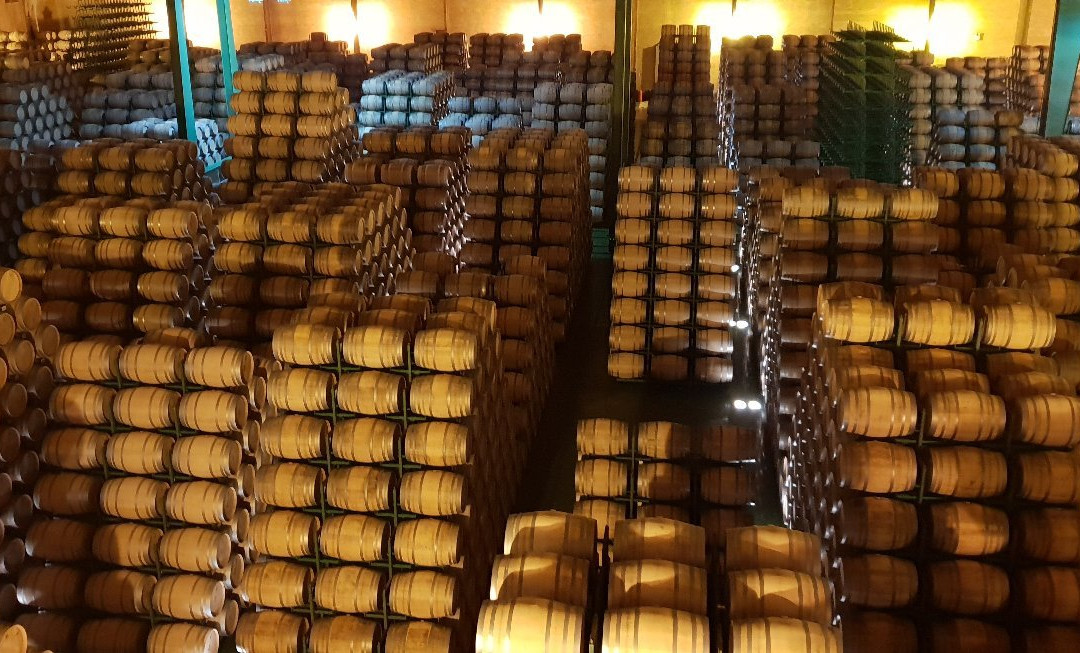 Bodegas LAN-Fuenmayor必去景点