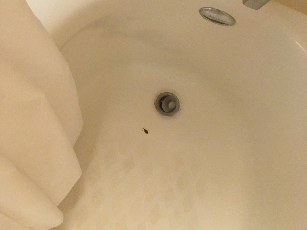 米尔皮塔斯汉普顿酒店主图