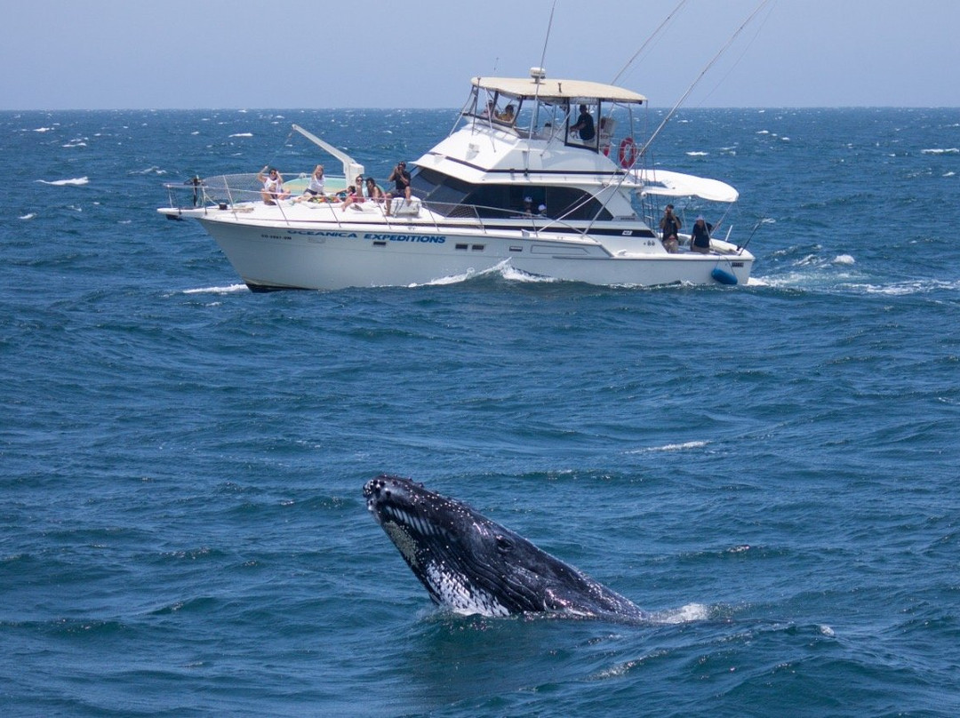 Oceanica Expeditions Peru景点图片