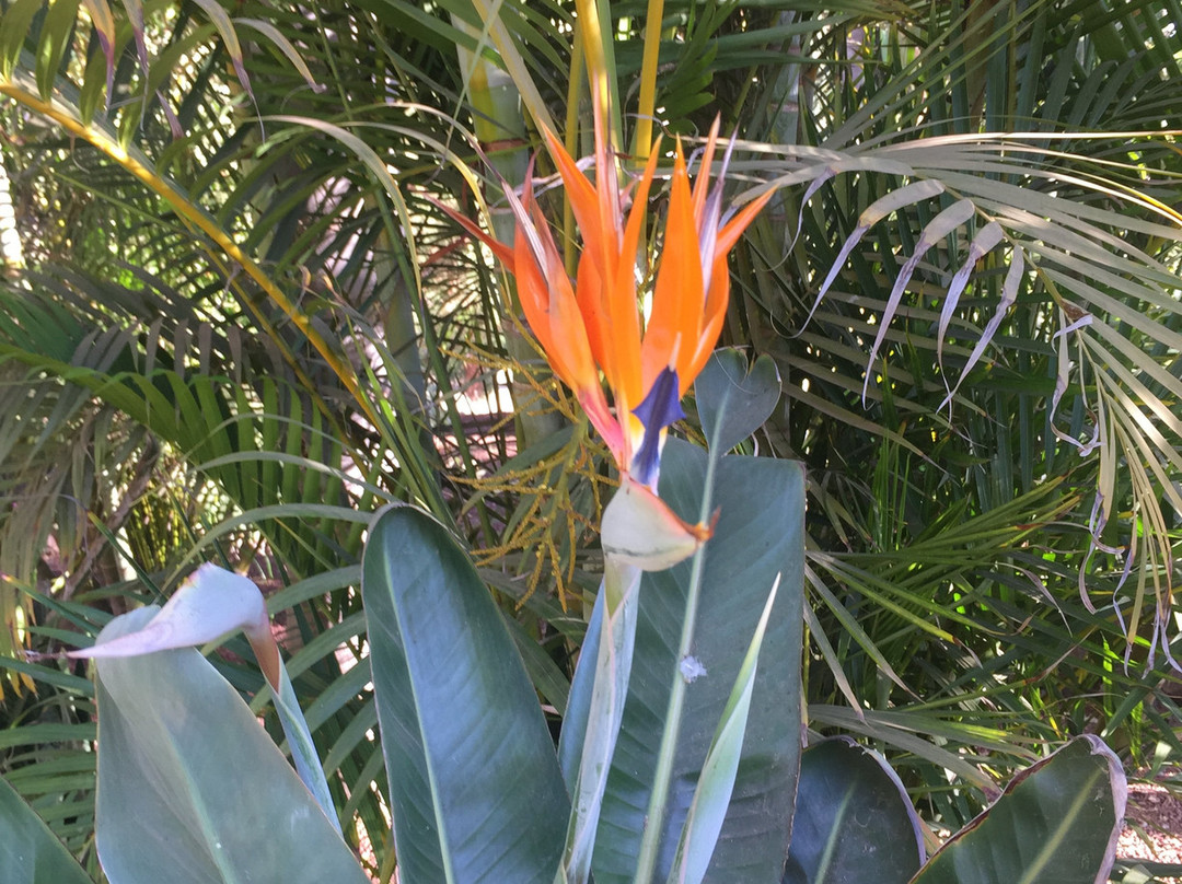 Hotel Jardines Baja主图