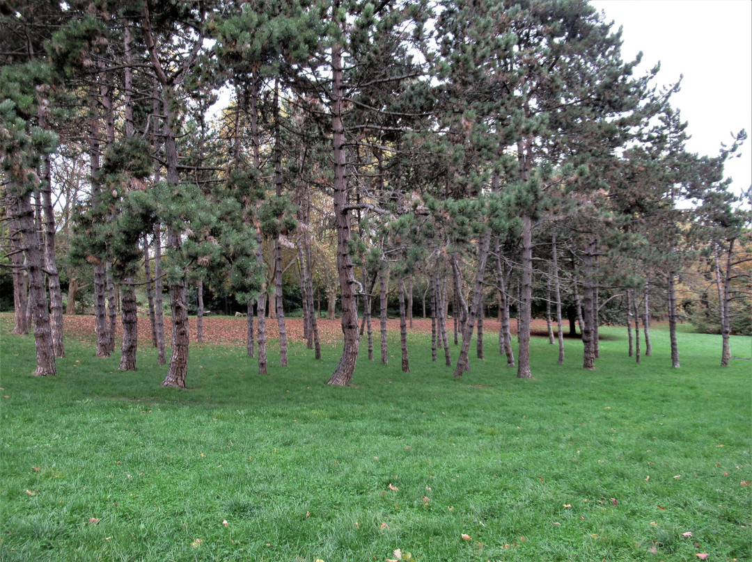 Parc de Romainville-Romainville必去景点