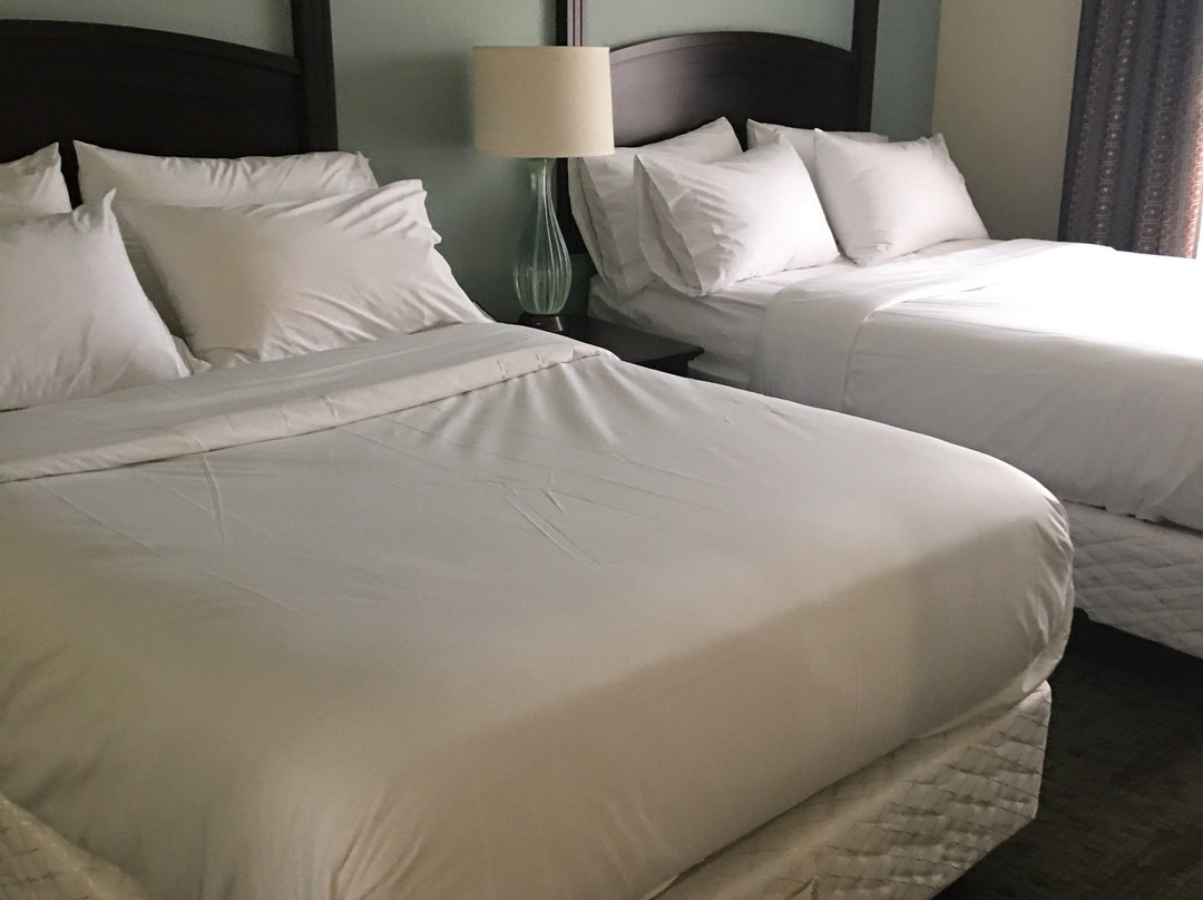 Staybridge Suites Peoria-downtown By IHG主图