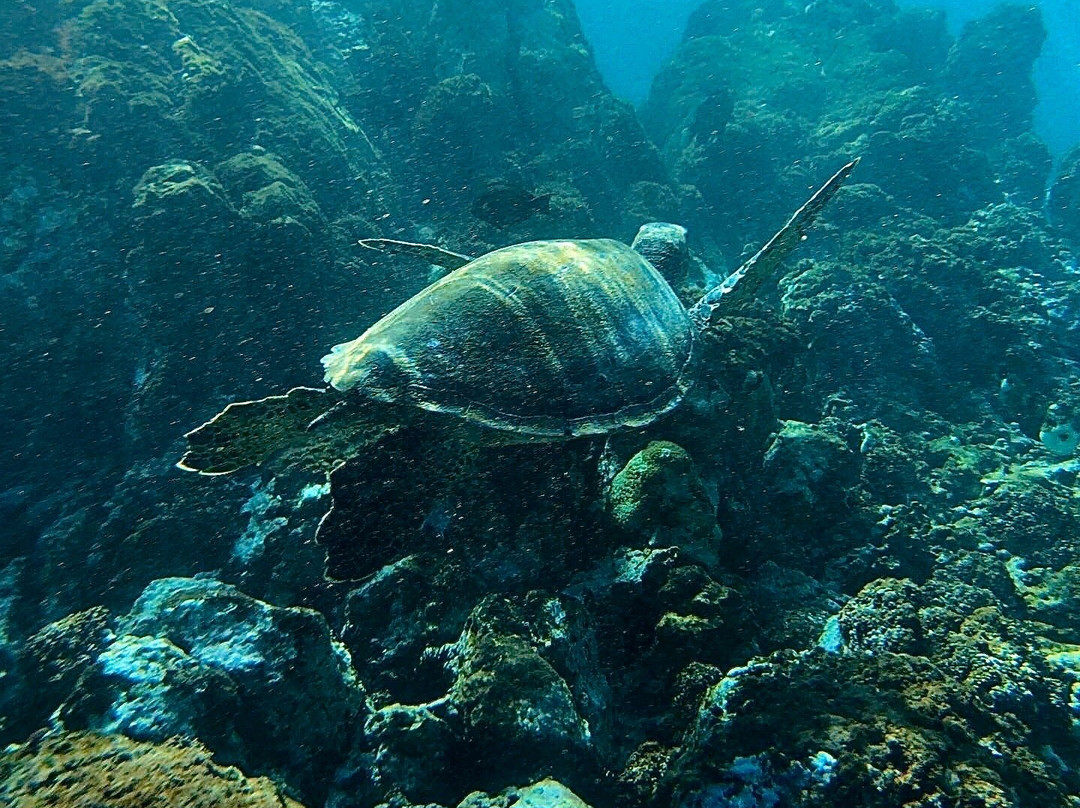 Ulua Beach-维雷亚必去景点