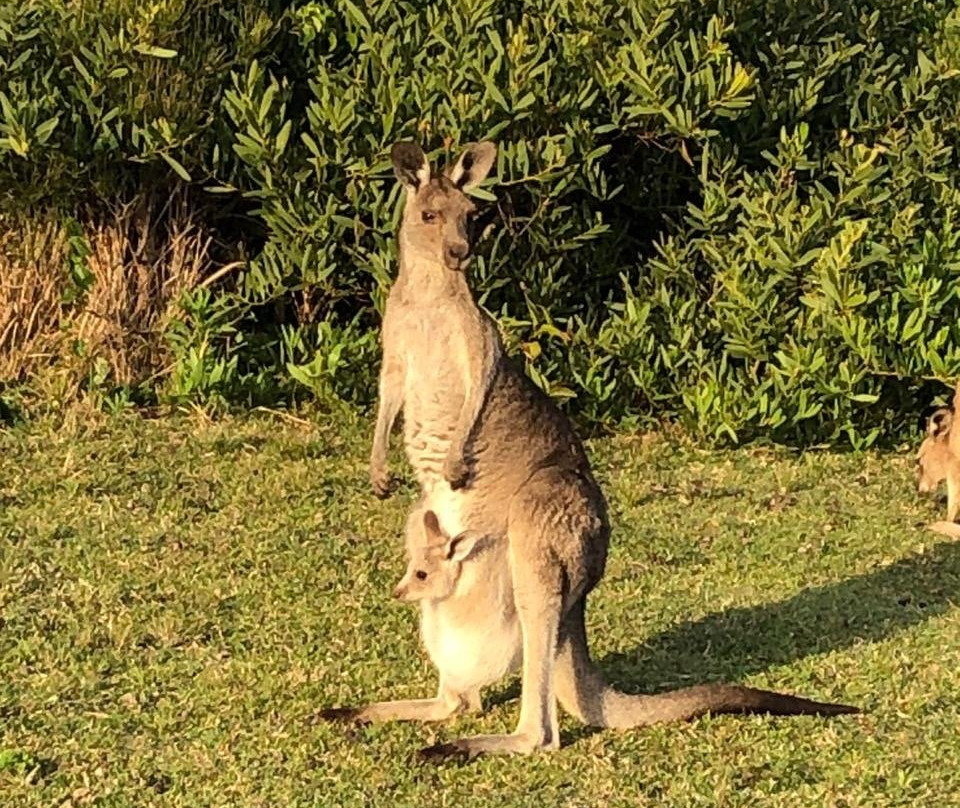 Emerald Beach-Emerald Beach必去景点