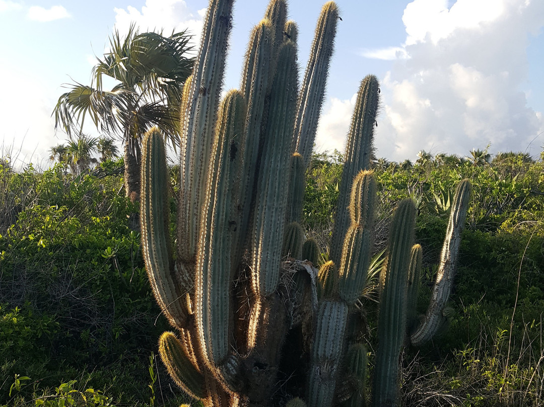 Lighthouse Footpath-Cayman Brac必去景点