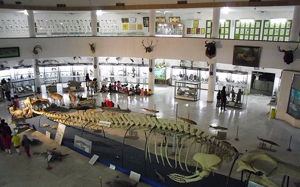 Natural History and Technology Museum of Shiraz-Shiraz必去景点