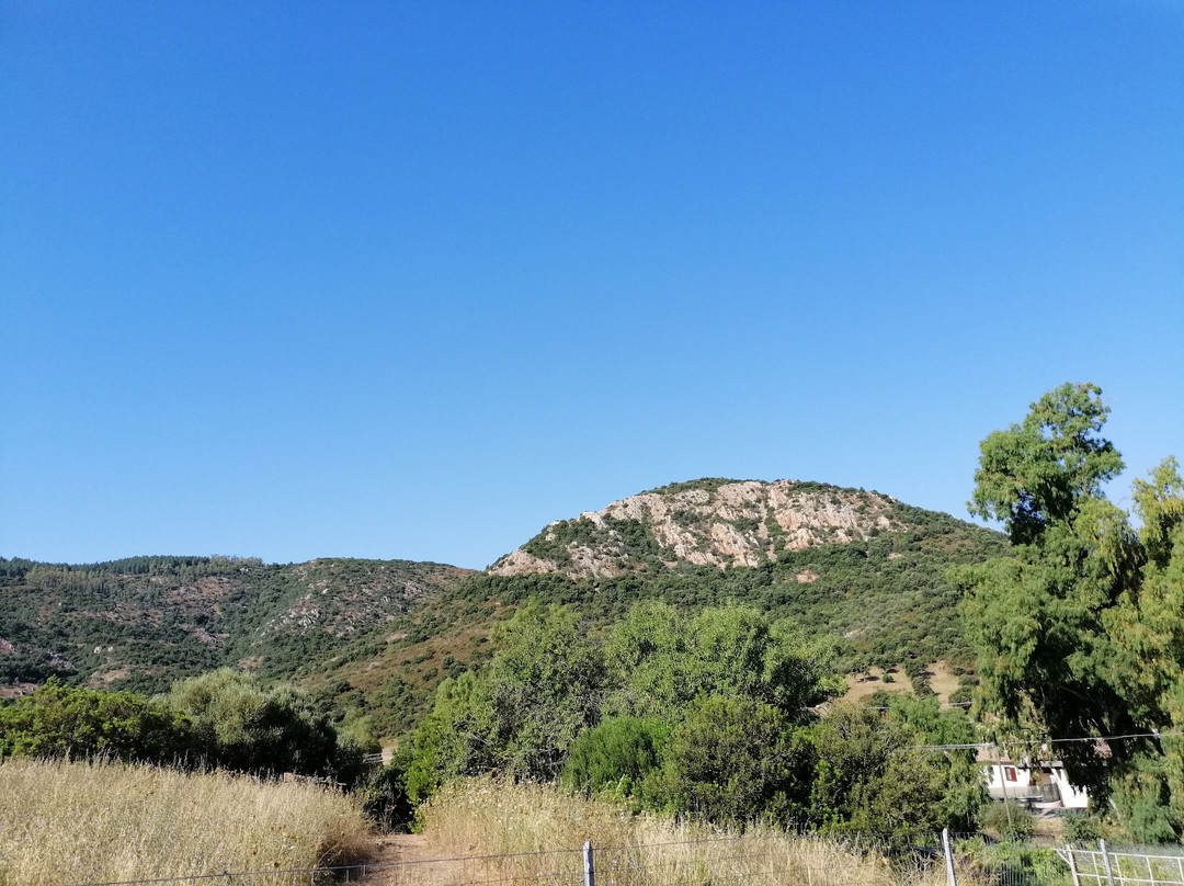 Domo Minnannu Miriu主图