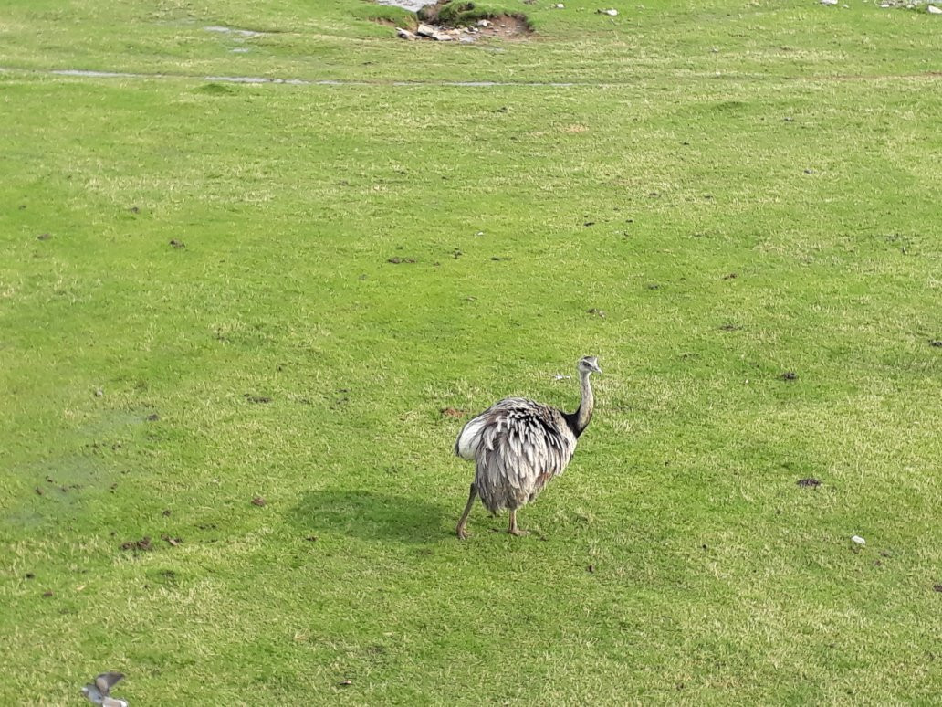 Bioparque Washington Rodriguez Piquinela-Durazno必去景点