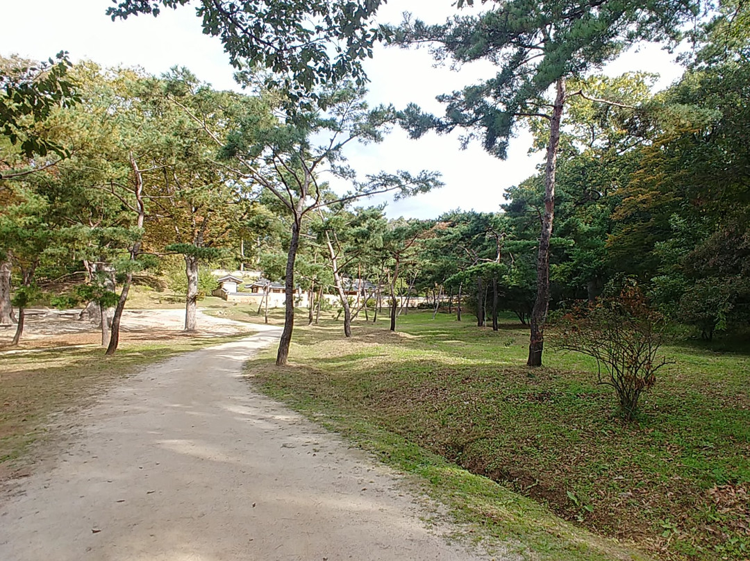 Paju Jangneung-坡州市必去景点